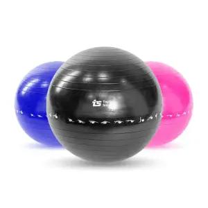 티에스 짐볼 65cm