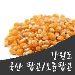 강원도 국산 팝콘용 옥수수/1kg/안  렌지용봉투 미포함