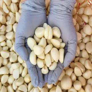 25년 무안 황토골 국산 깐마늘 1kg(소)