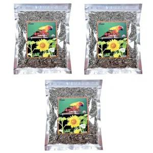 [애니몰파크]깨끗한 해바라기씨 400g 3개 앵무새 햄스터 사료