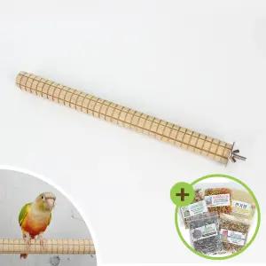 벌집 원목 횃대(대) 앵무새 천연 횟대 장난감 새용품