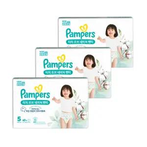 팸퍼스 NEW 터치오브네이처 팬티형 5단계 120매