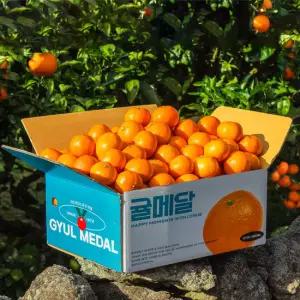 [귤메달] 제주 노지감귤 10kg(중과)