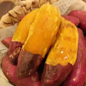 [과일꾼] 신품종 꿀 호박고구마 호풍미 10kg 특대 비세척