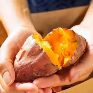 [한정수량] 못난이 호박고구마 5kg