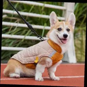 강아지 패딩 조끼 방수 경량 겨울 옷 애견 후리스 점퍼 하네스 따뜻한 방한복