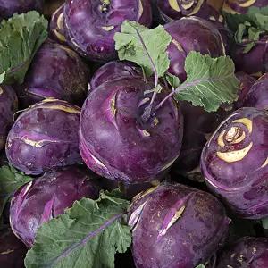 산지직송 국내산 콜라비 (혼합과) 5kg