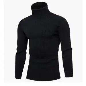 겨울 남성 소프트웜 골지 하이넥 긴팔티셔츠 겨울 폴라티셔츠 목 터틀넥 하이넥 긴팔티 레이어드티 골지