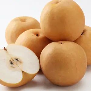 가정용 햇 배 주스용 과즙용 신고배 소과 중소과 중대과 3kg 5kg