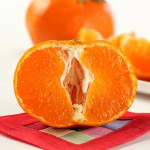 레드향 제주 고당도 올해 첫 수확 중소과 5kg 사이즈 선택