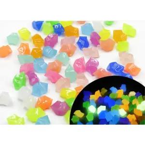 정원 조경 야광 조각돌 혼합 100px2팩 텃밭 분갈이