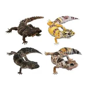 반다이 도마뱀 가챠 게코 생물 대도감 파충류 피규어 미니 생물백과사전 (표범무늬 게코 하이옐로)