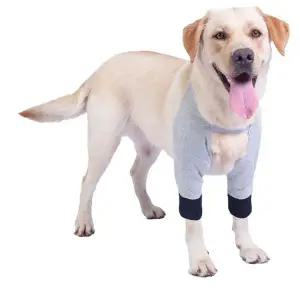 [골드스마일]애견 강아지 무릎 보호대 다리 앞다리 보호 L XL