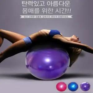 55cm 짐볼 골반운동기구 스트레칭 다이어트 공 크기