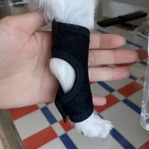 [콩심팥심]강아지 슬개골 보호대 소형 애완견 안정기 지지대