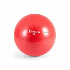 [셀러에이드]운동용 균형 잡기 짐볼 랜덤 발송