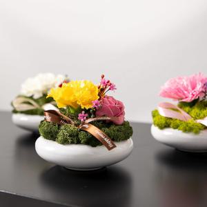 카네이션 조화 화분 영원한사랑set 12cm 4컬러 꽃 어버이날 스승의날 테이블 장식 감사 선물 행사 소품