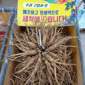 금산인삼 삼마이스터 5년근 6년근수삼 인삼주 삼계탕 난발삼750g