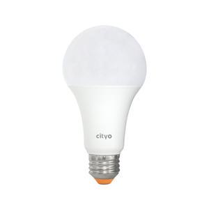 씨티오 LED벌브 12W 주광색 6500K 볼전구 램프 볼구 주방 거실 안방 베란다 안방 아이방 전등전구 교체