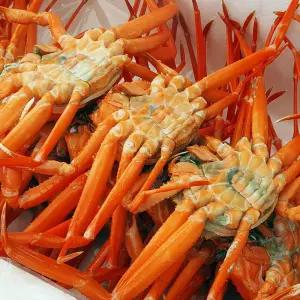 당일조업 제철 홍게 2kg 3kg 자숙 연지 박달 구룡포 대게 찜 홍게다리