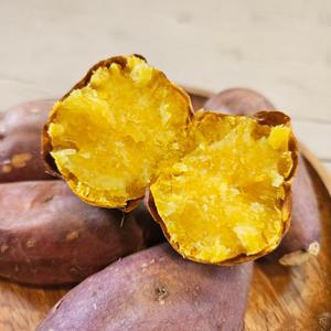 세척 밤고구마 호박고구마 베니하루카 햇고구마 10KG 1박스