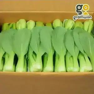 청경채 4kg 마라탕 샤브샤브 편백찜 국내산