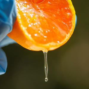 12브릭스의 고당도 제주 노지감귤 새콤달콤 노지귤 4.5kg 로얄과 (S.M.L)