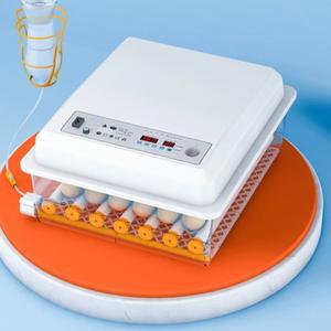 병아리 부화기 미니 인큐베이터 유정란 오리 인공 부하기 과학교구 소형 대형