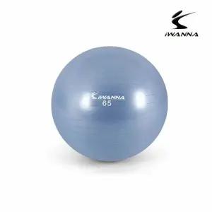 안티버스트 짐볼 65cm 라벤더