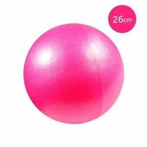 짐볼 아이비스 소프트미니볼26cm(SP) 핑크 1세트 30개