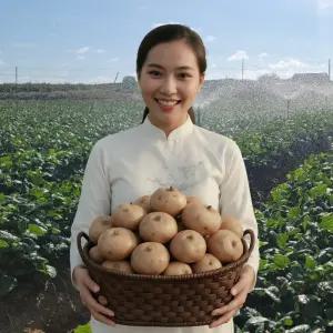 세계 20대 슈퍼푸드 프리미엄 히카마 저칼로리 심이섬유 풍부 5kg