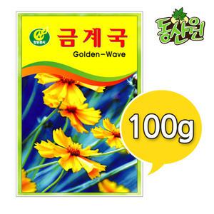 대용량 꽃씨 금계국씨앗 100g 금계국꽃씨앗 조경용 종자