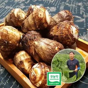 [죽곡토란]곡성 죽곡반송토란 무농약 생토란 2kg /깐토란 2kg 택1/25년 햇토란 수확시작~