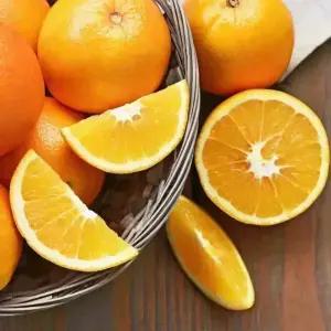 [농협6번]네이블오렌지 17kg / 발렌시아오렌지 15kg 선택