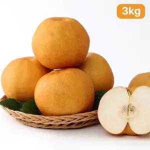 [아침의뜰]당도선별 나주 신고배 3kg 4~6입(실속형)