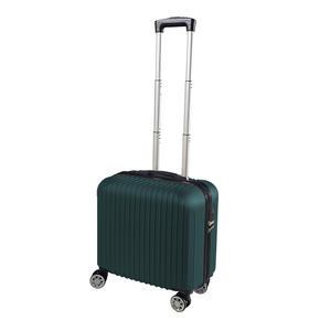 비젼 프리미엄 기내용 하드캐리어 16인치 여행가방캐리어 미니사이즈 트윈흴