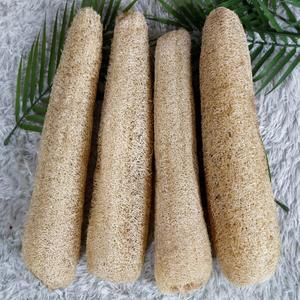 압축 루파 천연 수세미 35cm이상