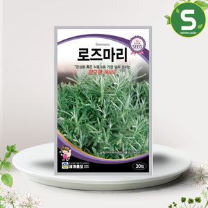 로즈마리 씨앗 30립 다년생 두통완화 허브 씨앗 종자