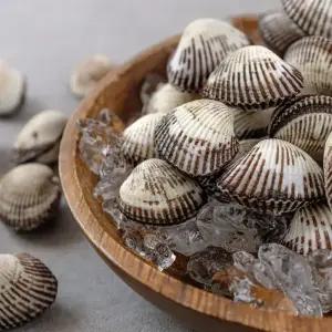 벌교 꼬막 당일조업으로 채취한 새꼬막 피꼬막 5kg 산지발송