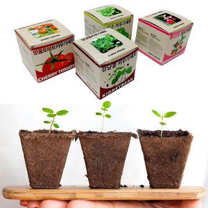 새싹 키우기 지피포트 세트 강낭콩 방울토마토 상추 봉선화(봉숭아) 화분 집에서키우는 야채 채소키우기