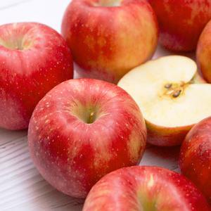 경북 부사 사과 가정용 10kg 중과(36-49)