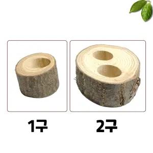 곤충 먹이접시 (1구/2구) 사슴벌레 장수풍뎅이 천연목 사육 용품 곤충젤리