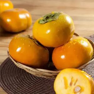 아삭 달콤 경남 부유 단감 5kg 태추단감 창원 제철과일