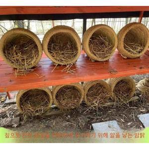 닭 둥지 암탉 두꺼운 짚 사계절 대형 야외 닭 계란산란장 닭산란통 닭 둥지 알낳는곳 직조