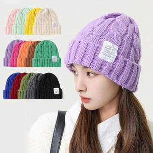 1 + 1 겨울 꽈배기비니 방한모자 여자니트모자 대두 스키장 비니