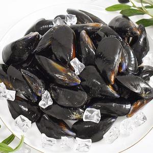 당일조업 남해안 세척 홍합 4kg