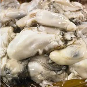 최상급 선별한 깐굴 통영 생굴 : 5kg