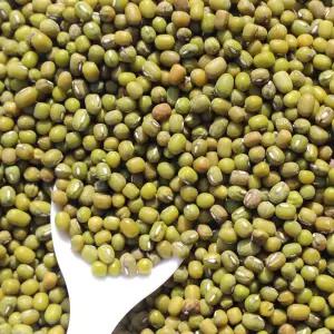 2025년국산 햇 녹두 통녹두 1kg