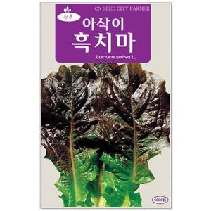 슬로시 쌈채소 씨앗 아삭이 흑치마 상추 5000립