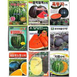 수박 참외 멜론 씨앗 모음 24년 애플수박 자몽수박 미니수박 복수박